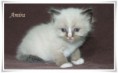 /album/amira/amira-5-hetes-004-jpg/